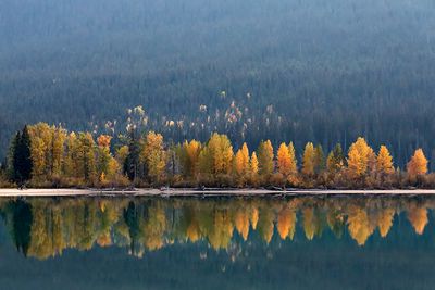 Moose Lake