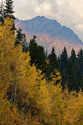 From the Rocky Mountaineer