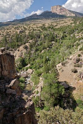 Cedar Mountain, in the Bighorn National Forest