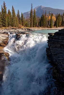 Athabasca Falls