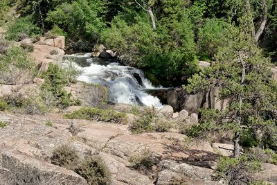 Shell Falls, in the Bighorn National Forest