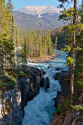 Sunwapta Falls