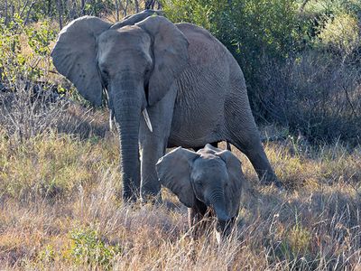 Mom and baby