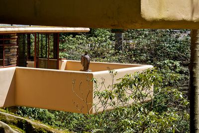 Fallingwater
