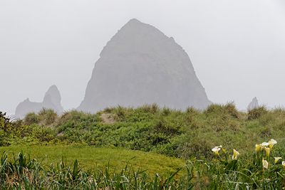 Haystack Rock