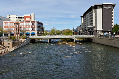 Thruckee River