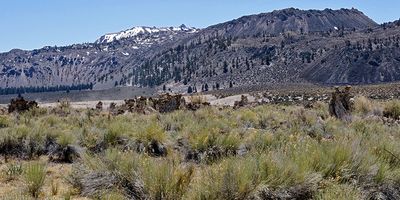 Tufa mounds