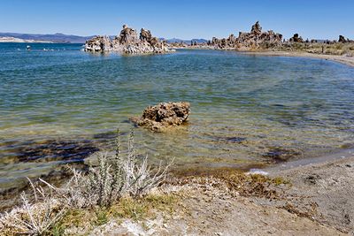 Tufa mounds