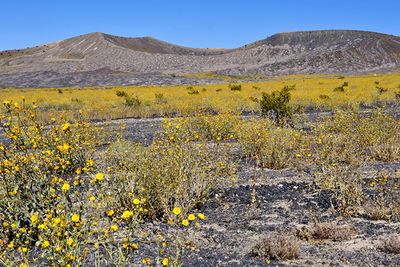 Ubehebe Crater