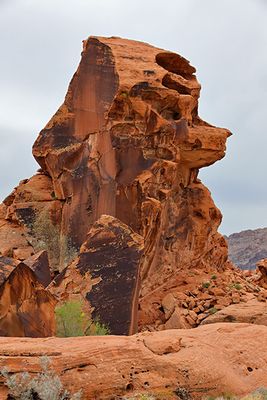 Poodle Rock