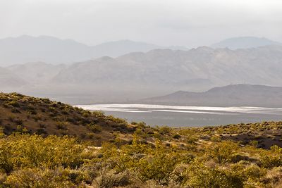 Nevada