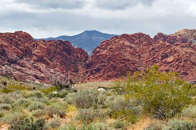 Calico Basin