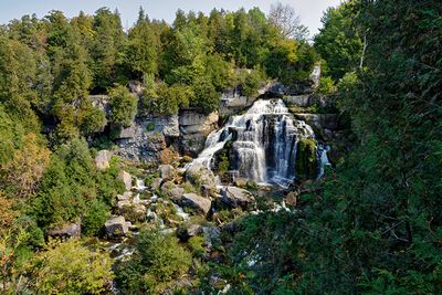 Inglis Falls