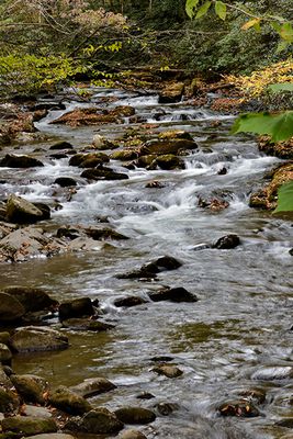 Oconaloftee River