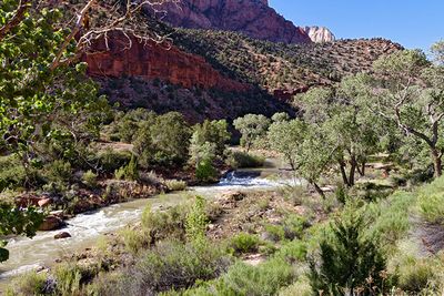 Virgin River