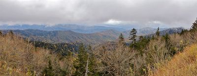 g13/52/833952/3/175091692.4f250345.JPEG