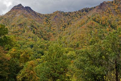 Chimney Tops