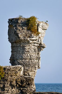 Big Flowerpot