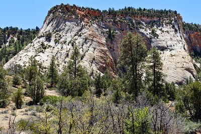 Checkerboard Mesa