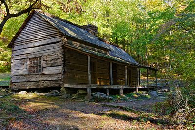 Noah Bud Ogle Cabin