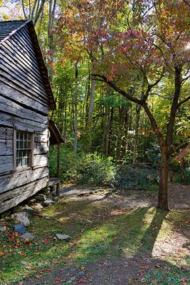 Noah Bud Ogle Cabin