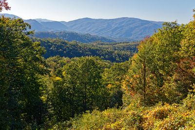 Roaring Fork Interpretive Marker 1 Overlook