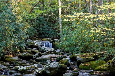 Roaring Fork