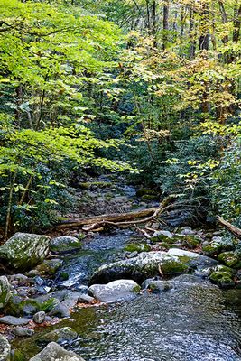 Roaring Fork