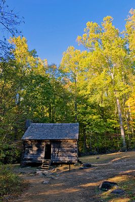 Alex Cole Cabin