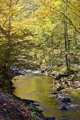 Little River