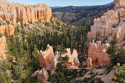 Sheep Creek Swam Canyon
