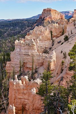 Sheep Creek Swam Canyon