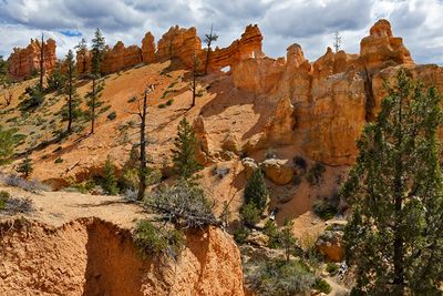 Mossy Cave Trail