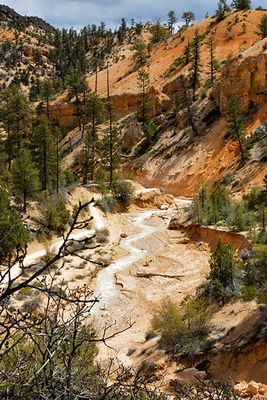 Mossy Cave Trail