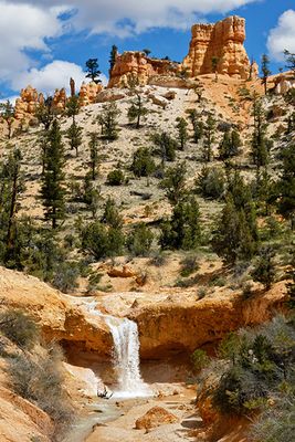 Mossy Cave Trail