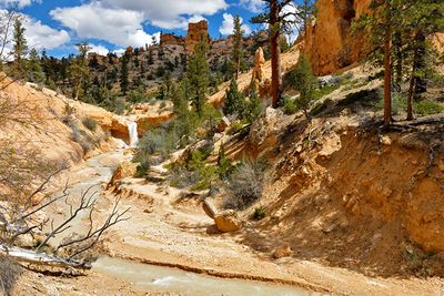 Mossy Cave Trail