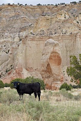 Chimney Rock