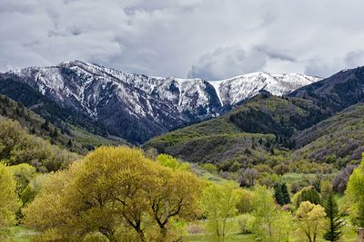 Utah