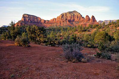 Arizona