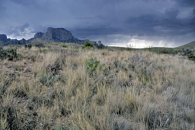 Big Bend National Park, Texas