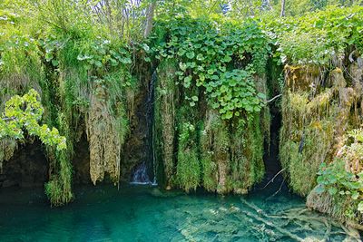 Plitvice Lakes National Park, Croatia