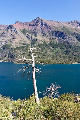 Glacier National Park, Montana