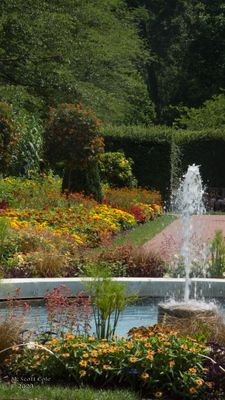 Longwood Gardens_20230705_0087.jpg
