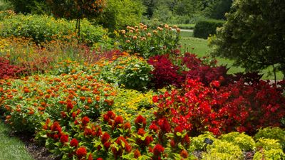 Longwood Gardens_20230705_0093.jpg