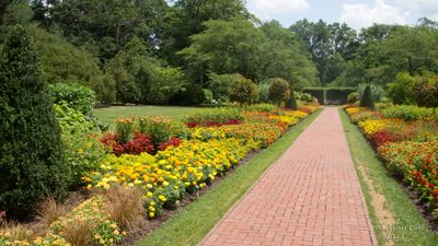 Longwood Gardens_20230705_0095.jpg