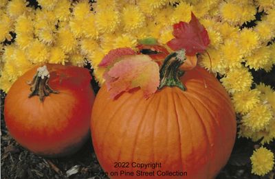 Signs of Autumn.jpg