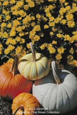 Fall Market.jpg