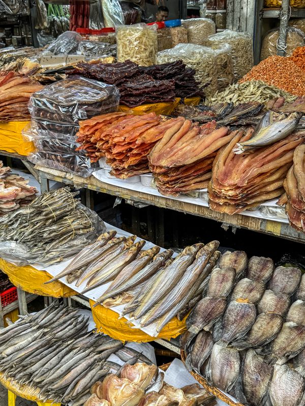 Central Market of Phenom Penh - fish stall