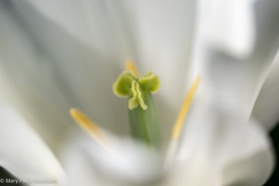 0H5A8768.jpg