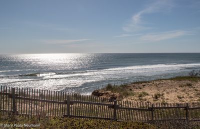Cape Cod Beach